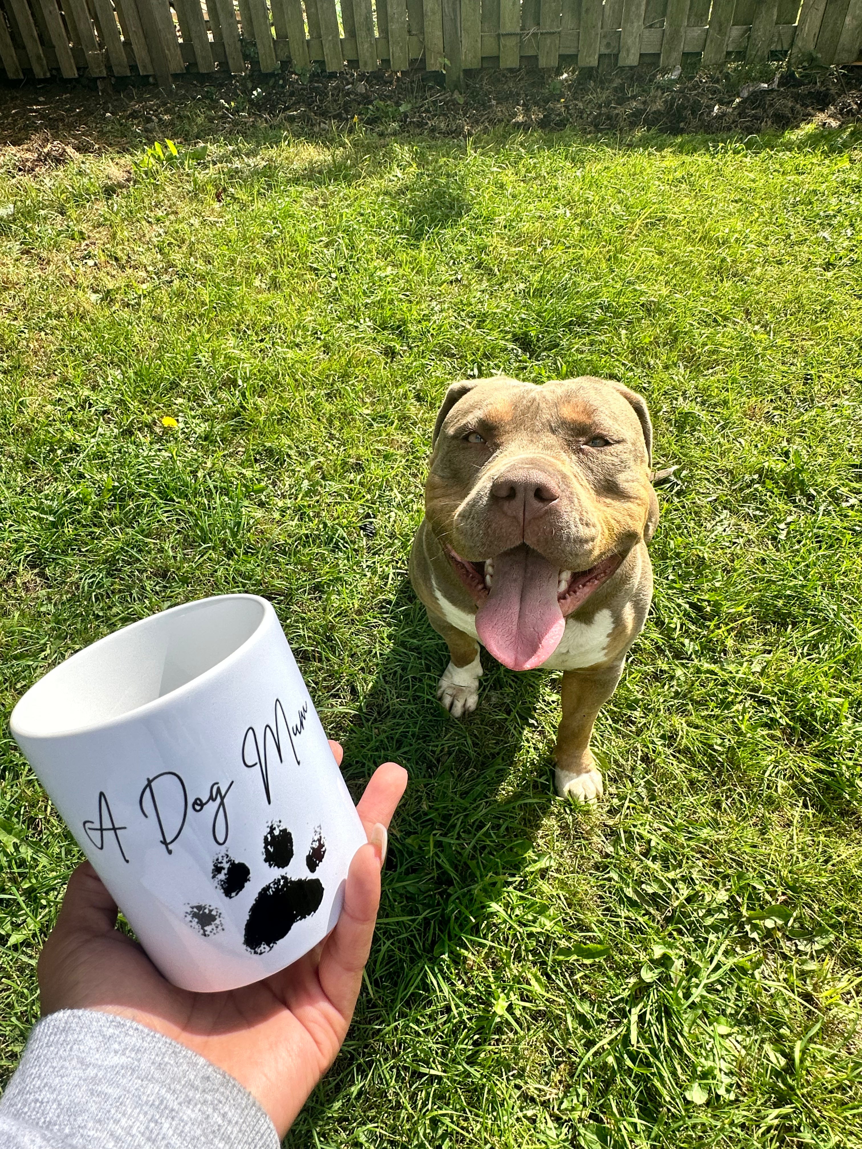 BB Custom Mugs